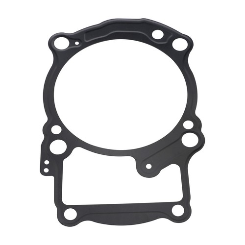 Rear cylinder lower gasket - cylinder,