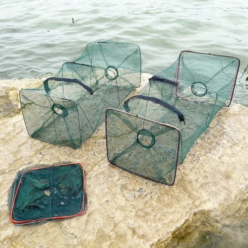 Foldable fish trap - fish, net