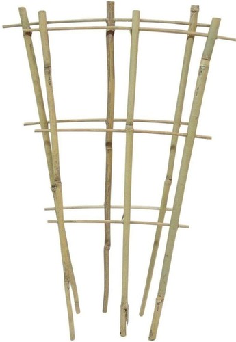 Bamboo fan pot - ,