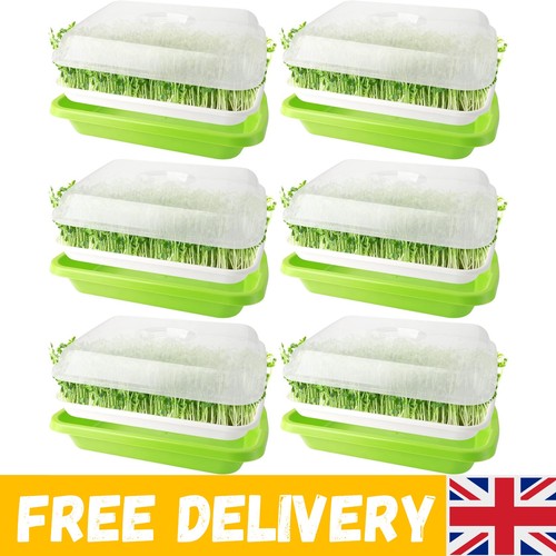 Pack seed sprouter trays - pack,