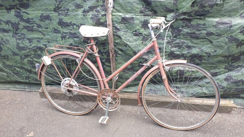 Vintage ladies dutch city - dutch,