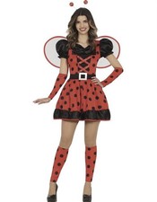 Fancy Ladybug Ladybird Costume