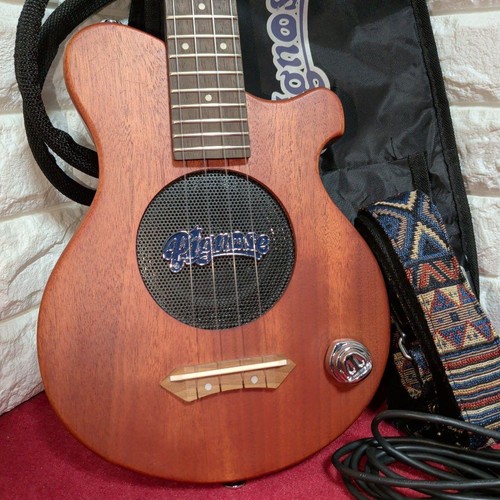 Pignose pgu 200mh - pignose, concert