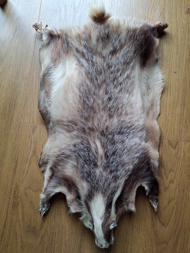 Vintage badger skin - vintage,