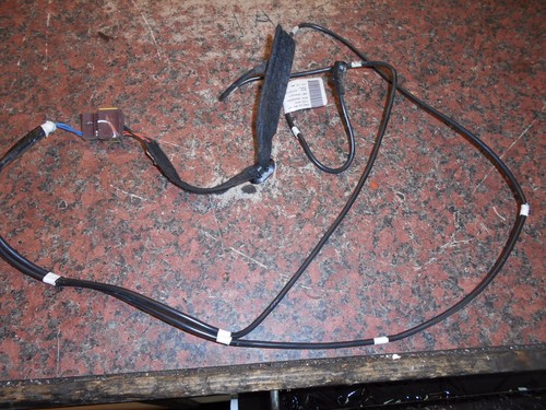 Passenger seat belt - seat,