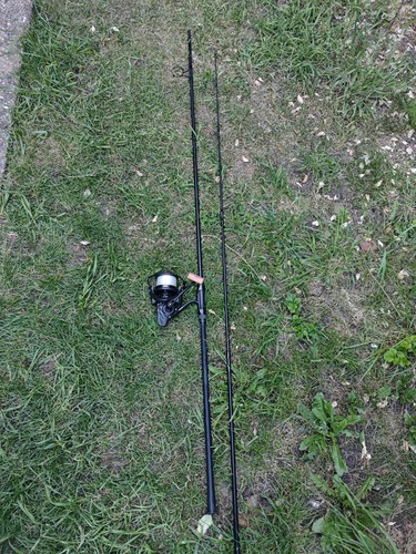Fox eos 12ft - 3.50lb, rod