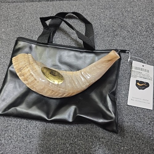 Authentic shofar from - shofar, israel