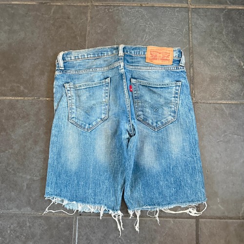 Vintage 2000s y2k levi 520 - y2k,