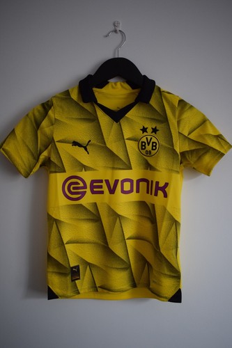 Borussia dortmund 2023 - borussia,
