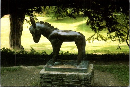 2025 uk donkey - -,