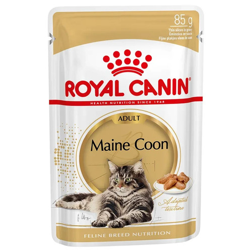 Royal canin maine coon - x,
