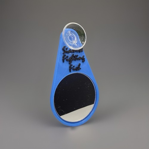 Betta fish exercise mirror - fish,