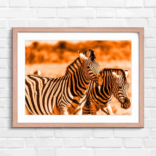 Bold zebra artistry portrait - bold,