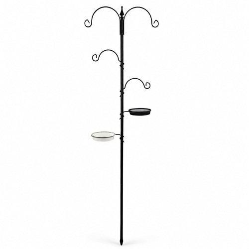 New wild bird - new!, decorative