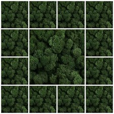 Dark Green Natural Norwegian Reindeer Moss Preserved Dried Craft Flower Stamen 