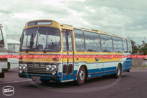 Coach photo eastern - coach,