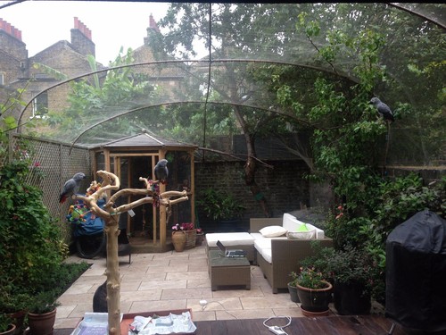 Zoo animal mesh aviary - /,