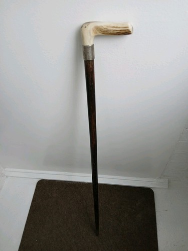 Sturdy deer antler - sturdy, topped