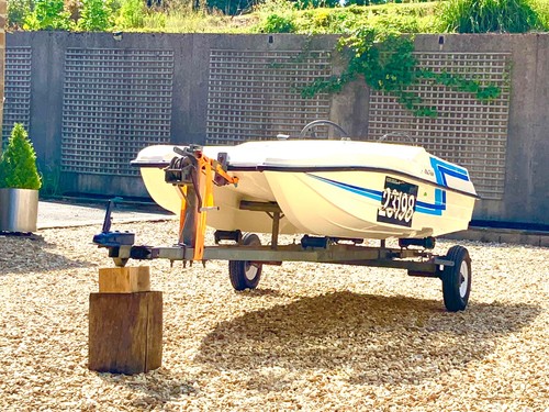 Rare cougar cub - cougar, catamaran