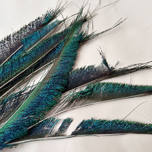 10pcs peacock sword - 10pcs,