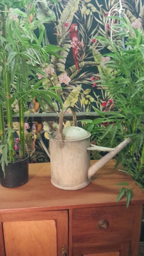 Vintage galvanised gallon - galvanised,