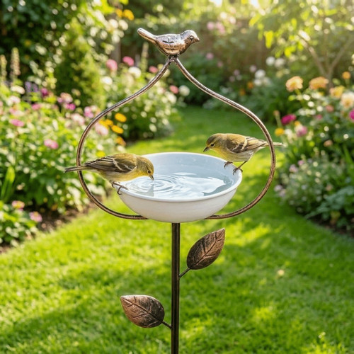 Large capacity outdoor - capacity, bird
