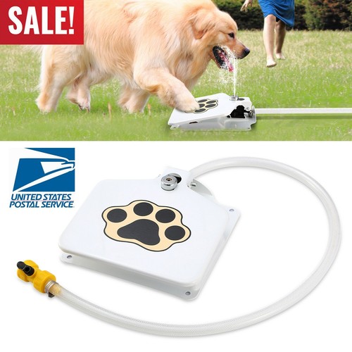 Outdoor dog fountain step - outdoor, on
