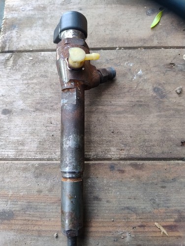 Nissan qashqai fuel injector - nissan,