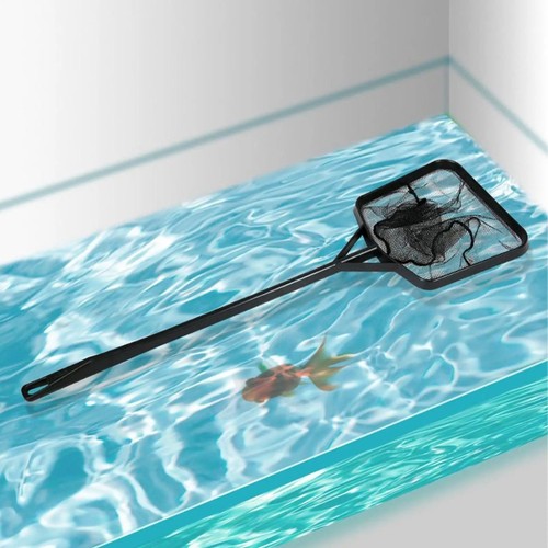 Small swimming pool - swimming,