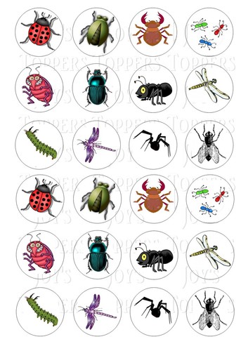 Bugs insects cupcake topper - bugs,