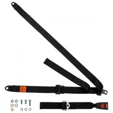 Rear Static Seat Belt For Ford