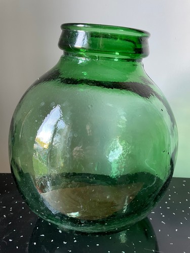 Viresa glass bottle terrarium - glass,