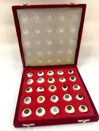 Human prosthetic eye antique - ~,