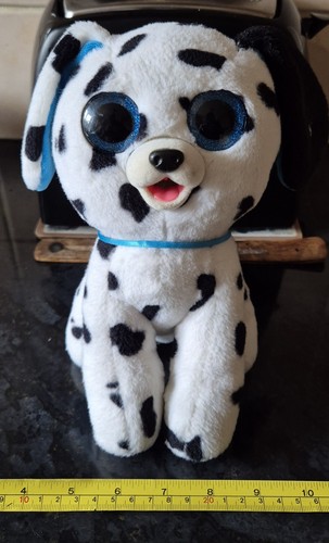 Pooping pets dalmation makes - dalmation,