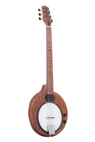 Gold tone electric banjo - tone,