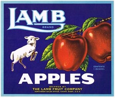 ORIGINAL 1950S APPLE CRATE