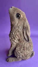 Vivid Arts Moon Gazing Hare
