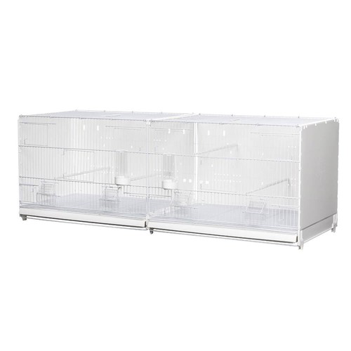 White wire double - white, breeding