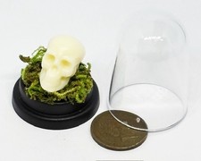 Dolls House Skull in a Clear Plastic Dome Halloween Decoration 1:12 Scale tumdee