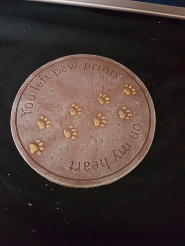 Latex mould pet - mould, of