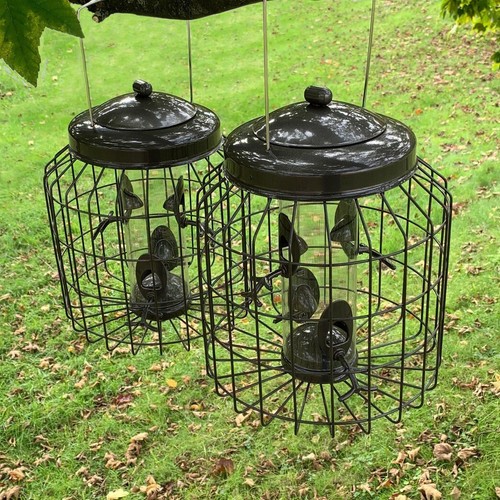 Squirrel proof hanging bird - hanging,