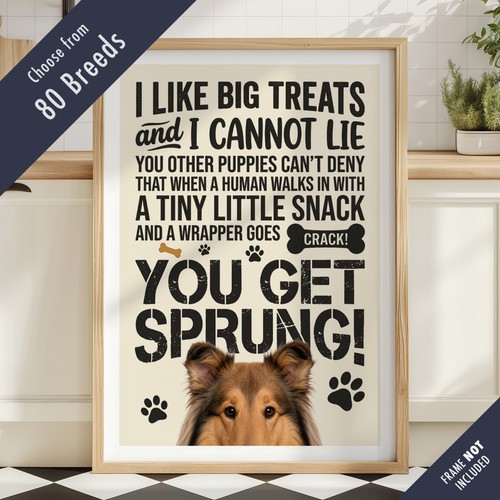 Funny dog treats lyric quote - dog,
