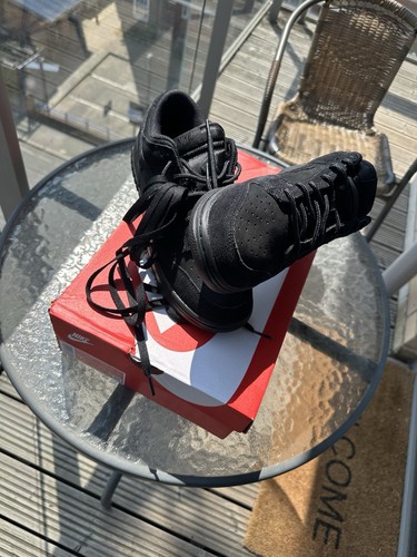 Brand new nike dunk low - low, sb
