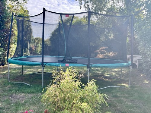 Berg premium oval trampoline - premium,