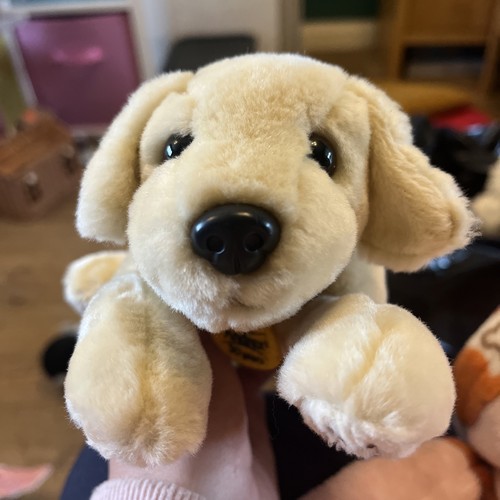 Andrex puppy soft toy years - andrex, 30