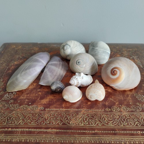 Job lot vintage spiral sea - vintage,