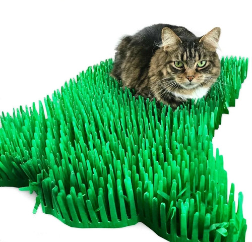Premium green tissue - premium,