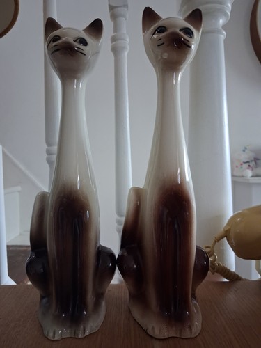 Vintage tall long neck - long, siamese