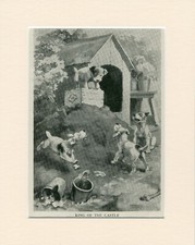 JACK RUSSELL WIRE FOX TERRIER