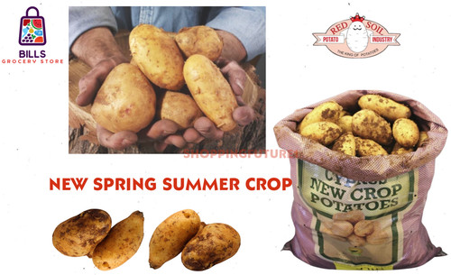 Fresh cyprus spunta - fresh, potatoes